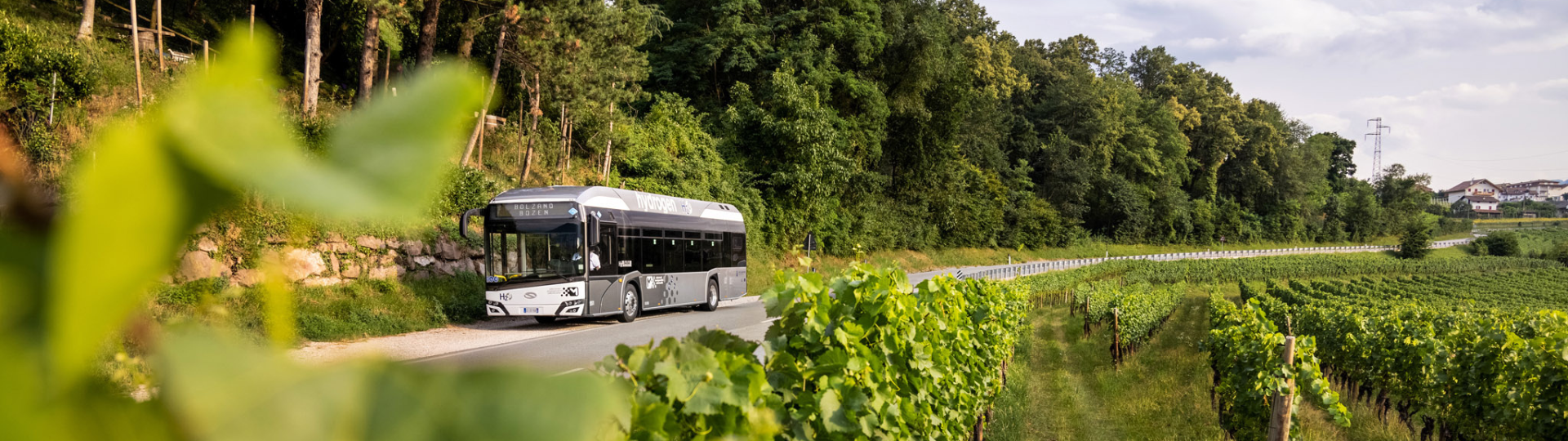 Solaris publishes its Sustainability Report for 2021