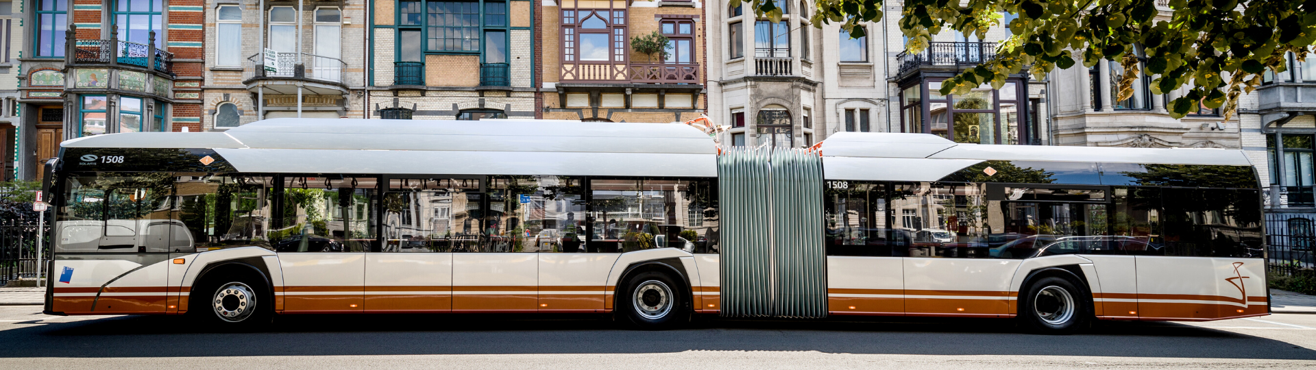 Die Stadt Craiova in Rumänien bestellt 16 gelenkige Elektrobusse