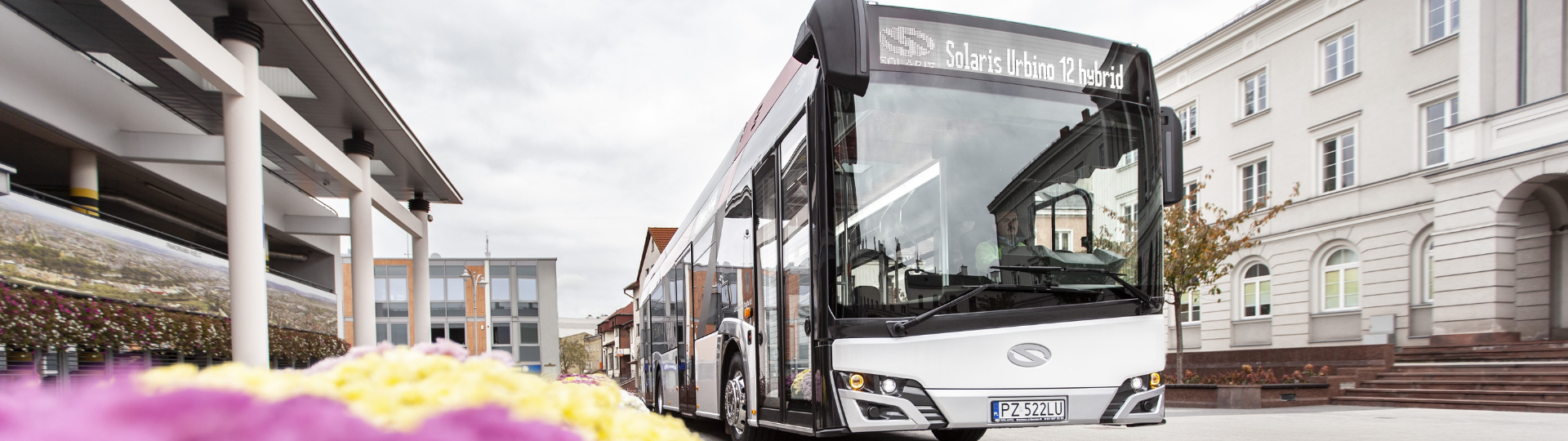 Hybrid Solaris buses to roll out on the streets of another Romanian city