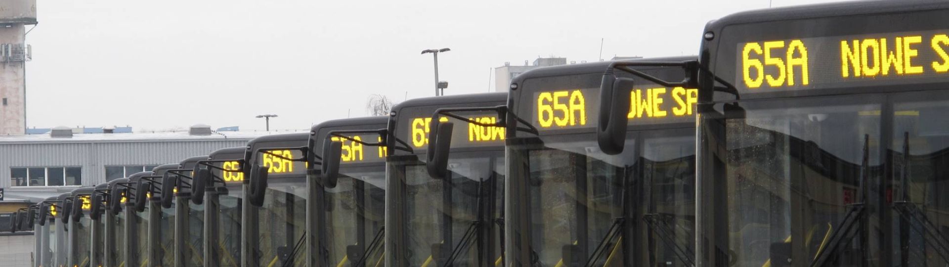 40 Solarisów od wczoraj w Łodzi