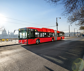 Trollino 18