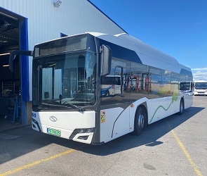 Urbino 12 electric