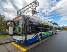 Fot._Grzegorz_Mental_1