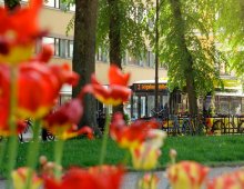 Fot. Vy&nbsp;Buss (2)